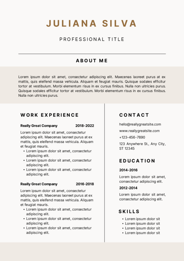 Dice Resume | 10 Minimalist Modern and Editable Resume Templates - Image 10