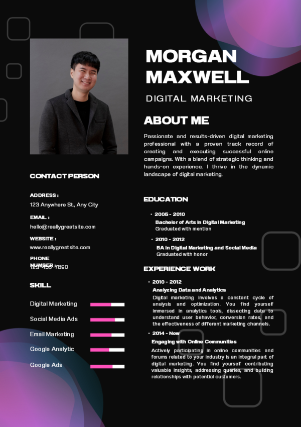 Dice Resume | 10 Designer Resume Editable Templates - Image 8
