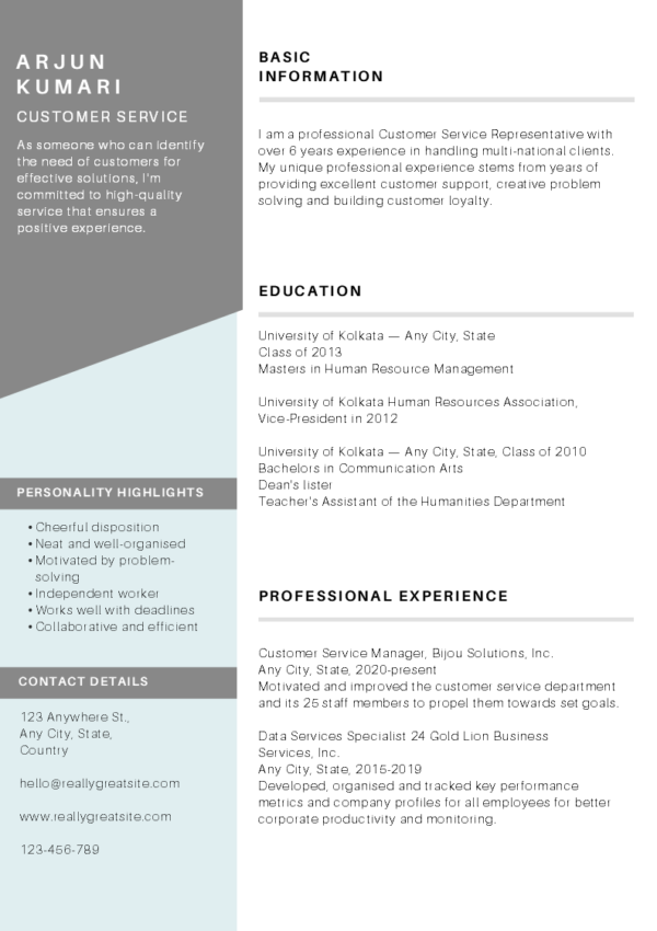 Dice Resume | 10 Minimalist Modern and Editable Resume Templates - Image 7