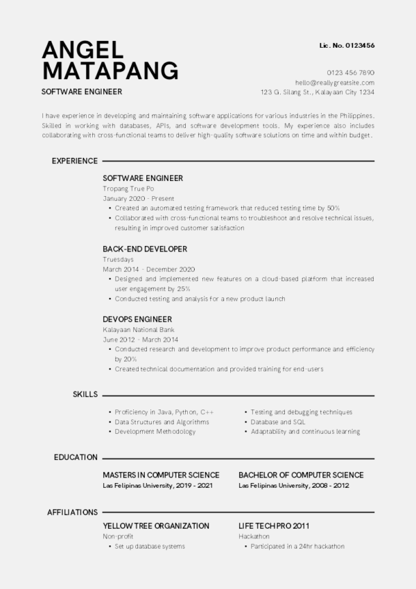 Dice Resume | 10 ATS Friendly and Editable Resume Templates - Image 3