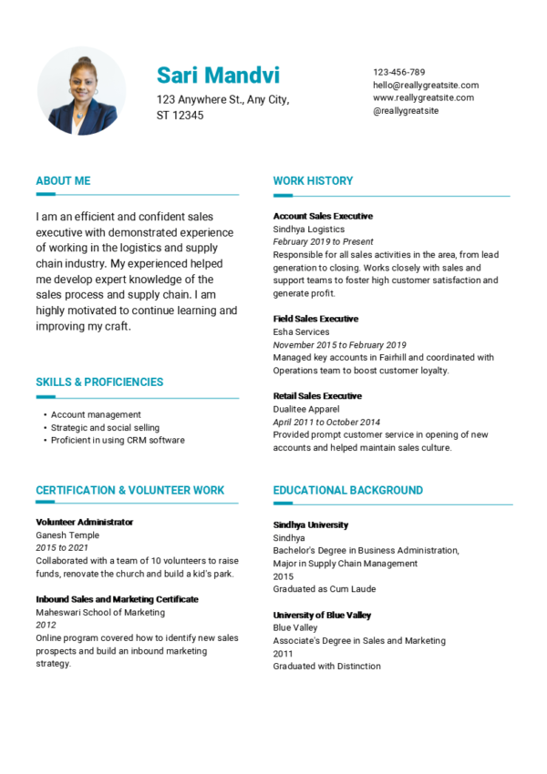 Dice Resume | 10 Minimalist Modern and Editable Resume Templates - Image 6